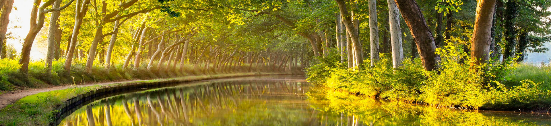 Comment acheter un terrain à bâtir sur Toulouse et sa région ?